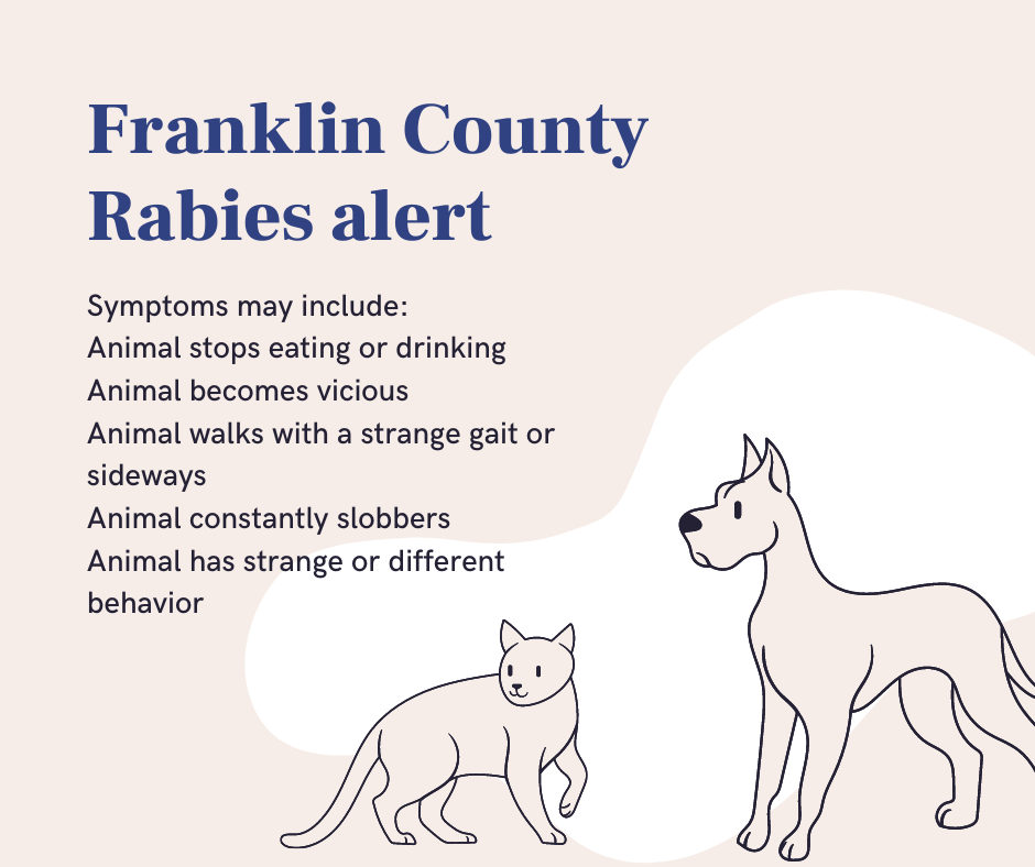 Raccoon Tests Positive for Rabies in Franklin County – District 2 Public  Health