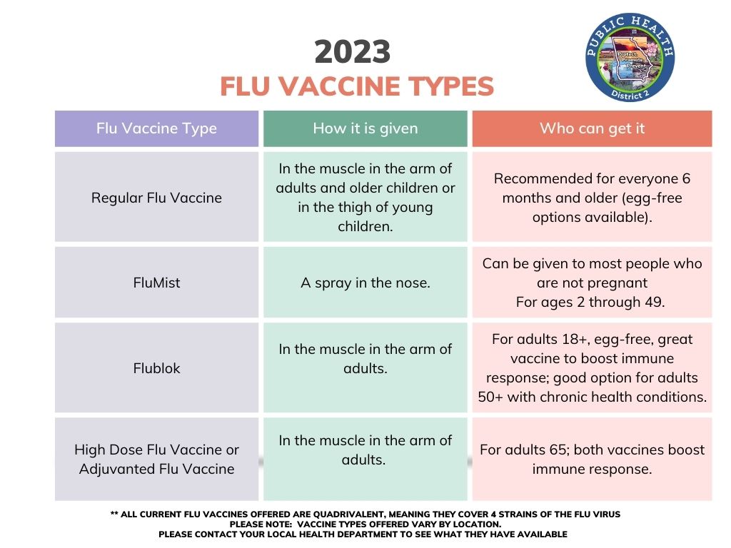 Understanding the Different Kinds of Flu Viruses